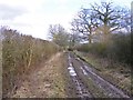 SJ8107 : Hubbal Lane Track by Gordon Griffiths