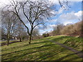 Footpath through urban green space