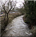 Downstream along the Afon Lwyd, Pontypool