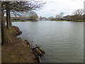 A lake at Stockley Park