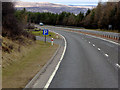 NH8028 : A9 Layby 157 by David Dixon