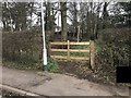 Entrance to footpath through copse