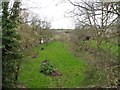 Trackbed of former Somerset and Dorset Branch to Glastonbury