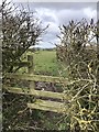 Stile into field near Pheasant Hall