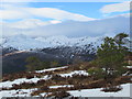 NH2222 : Scrubby Pinus Sylvestris with a view north-west over Glen Affric by ian shiell