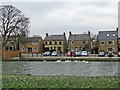 Chesterton: feeding swans at Water Street