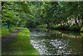 Stanworth Woods and the Leeds and Liverpool Canal