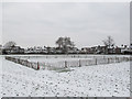 TQ2081 : Cricket square under snow, North Acton playing field by David Hawgood
