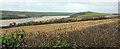 Farmland by the Camel Estuary