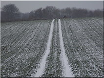 ST8206 : Turnworth: a snowy field by Chris Downer