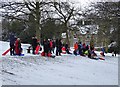 Sledgers in snowy Chelsea Park