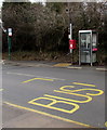 Queen Elizabeth II postbox and a BT box, Varteg Road, Varteg