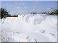 ST5549 : Hillgrove Road is under snow by Neil Owen