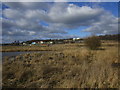 Waste land and sewage works at Lundwood