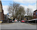 Tree-lined Bryngwyn Road, Newport