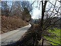 Waterfall Street near Tanrhallt