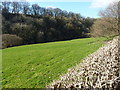 The valley of the Afon Rhaeadr