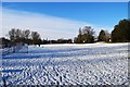 SO9570 : Snow in Sanders Park, Bromsgrove, Worcs by P L Chadwick