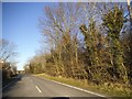 The Causeway south of Writtle