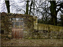 H4276 : Garden gate, Lislimnaghan Church by Kenneth  Allen
