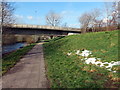 Llwybr glanafon y Drenewydd / Newtown riverside path