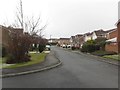 Lesbury Close, Chester-le-Street