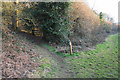 The Severn Way near Stokes Wood