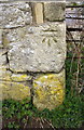 Benchmark at doorway in wall at Medley Manor Farm