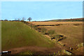 Armathwaite Farmland View