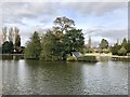 SJ9042 : Lake island in Queen's Park, Longton by Jonathan Hutchins