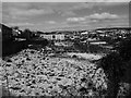 Allotments at Denbigh