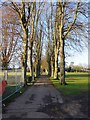 Tree-lined public footpath, The Leys, Witney, Oxon