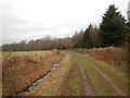 Bridleway to Hook Wood and Chaffers Copse