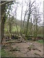 Footbridge over Little Dart in Thongsleigh Wood