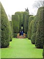 SP1772 : The Yew Garden at Packwood House by Steve Daniels