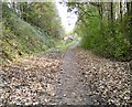 Autumn on the Trans Pennine Trail