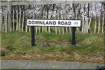 TQ3405 : Downland Road sign by Geographer