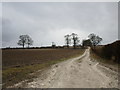 Farm track near Methill Hall Farm