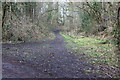 Track off Cycle Route 47, Maesycwmmer