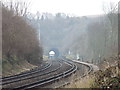 TQ5365 : Railway tracks near Eynsford by Malc McDonald