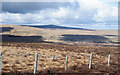 NY7140 : Fence posts along fence line on Staneshaw Rigg by Trevor Littlewood