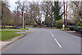 Bus stops on School Road, Downham