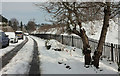 Sanford Road, Torquay, in the snow