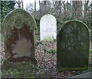 TG2008 : Gravestones in the Jewish burial ground by Evelyn Simak