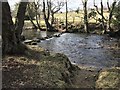 The Browney Ford and Stepping Stones