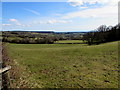 Rural Monmouthshire in late March 2018