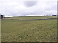 Farmland north of Gunhill Plantation