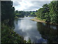 The River Ribble and Sawley Bridge