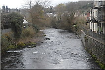 SX4874 : River Tavy from Stannary Bridge by N Chadwick