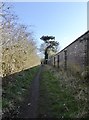 Public footpath in Madeley